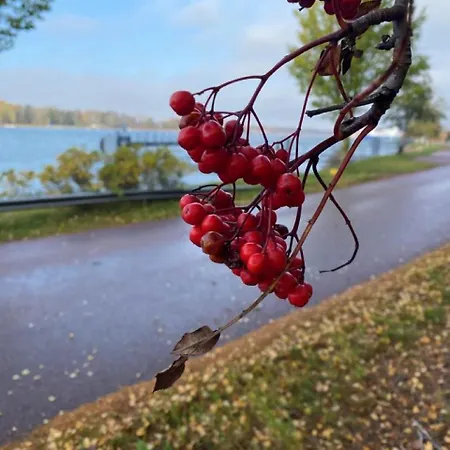 Ξενοδοχείο με διαμερίσματα Trivsam