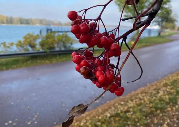 شقة فندقية Trivsam